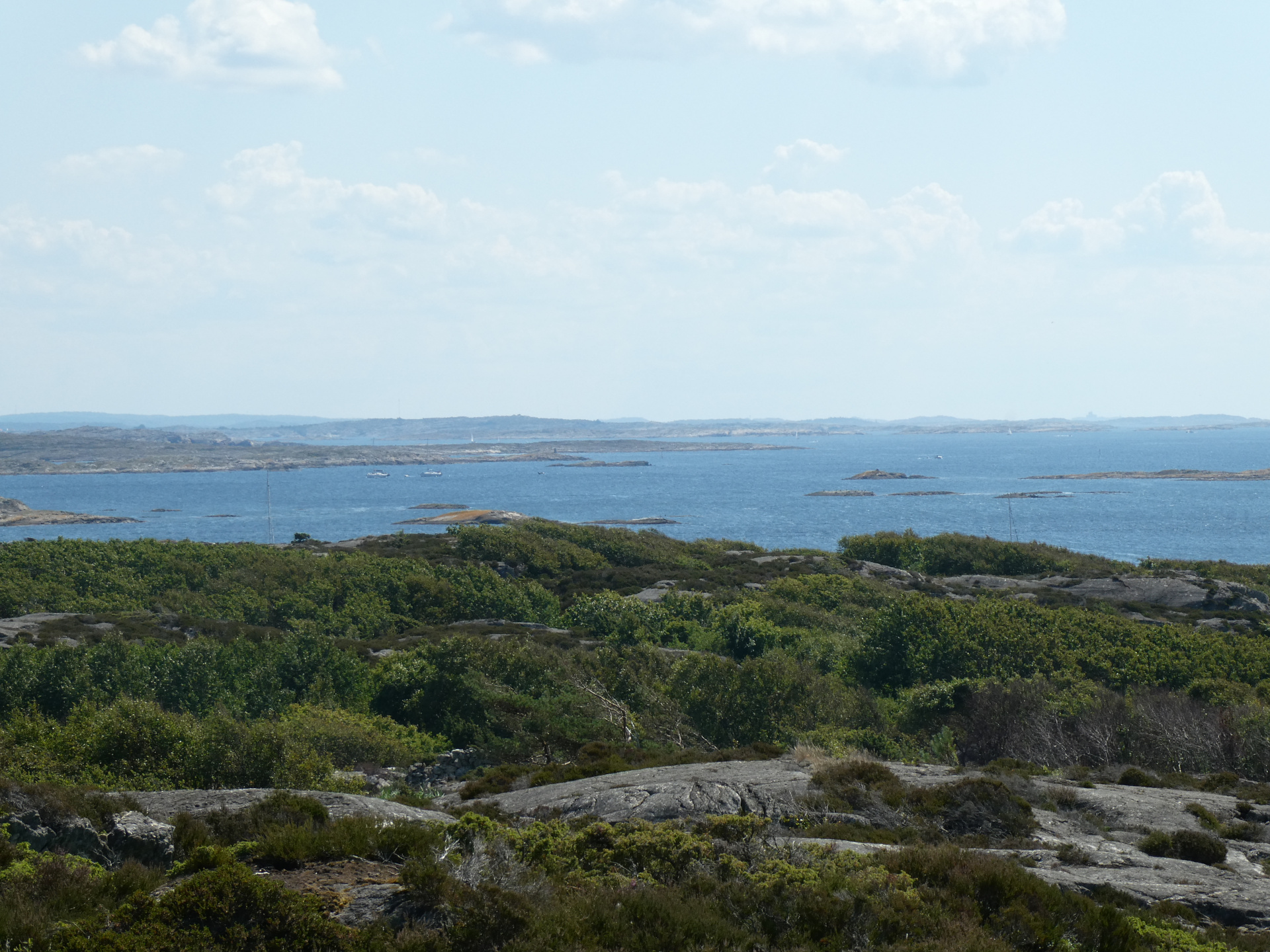 Panorama aus 50m