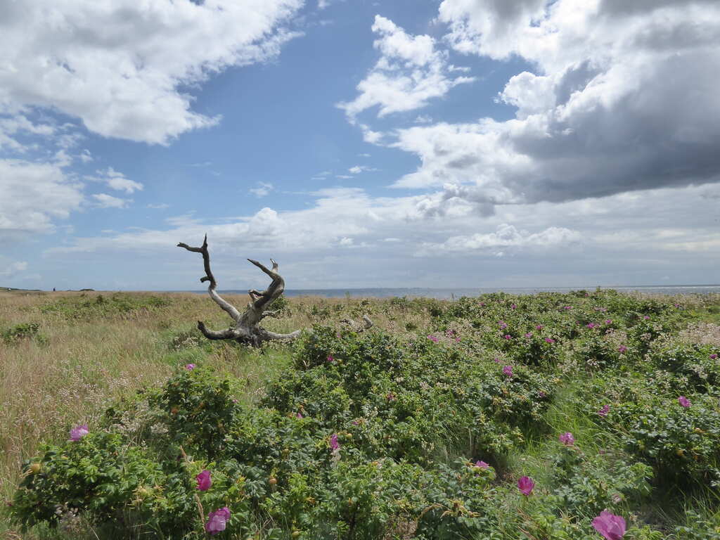 schroffe Landschaft